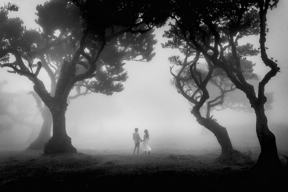 Photo taken of a weddin couple in Fanal forest in Madeira Island, a protected Unesco world heritage site